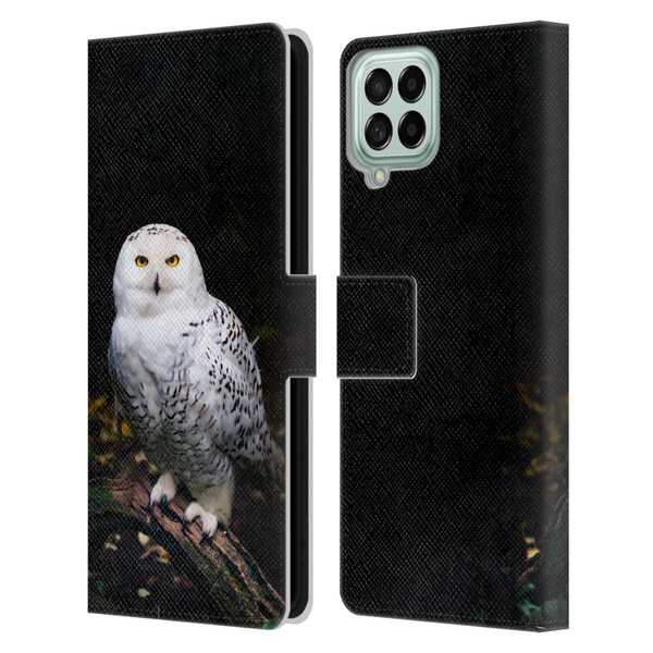 Patrik Lovrin Animal Portraits Majestic Winter Snowy Owl Leather Book Wallet Case Cover For Samsung Galaxy M33 (2022)
