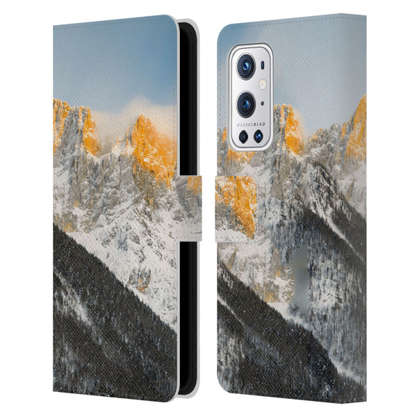 Patrik Lovrin Magical Sunsets Last Light On Slovenian Alps Leather Book Wallet Case Cover For OnePlus 9 Pro