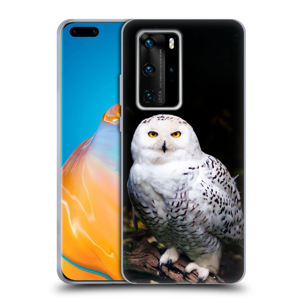 Patrik Lovrin Animal Portraits Majestic Winter Snowy Owl Soft Gel Case for Huawei P40 Pro / P40 Pro Plus 5G