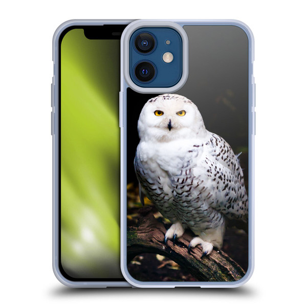 Patrik Lovrin Animal Portraits Majestic Winter Snowy Owl Soft Gel Case for Apple iPhone 12 Mini