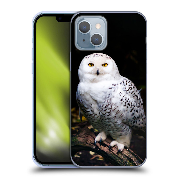 Patrik Lovrin Animal Portraits Majestic Winter Snowy Owl Soft Gel Case for Apple iPhone 14