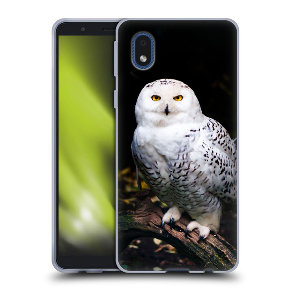 Patrik Lovrin Animal Portraits Majestic Winter Snowy Owl Soft Gel Case for Samsung Galaxy A01 Core (2020)