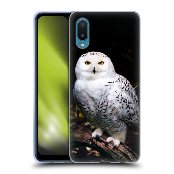 Patrik Lovrin Animal Portraits Majestic Winter Snowy Owl Soft Gel Case for Samsung Galaxy A02/M02 (2021)