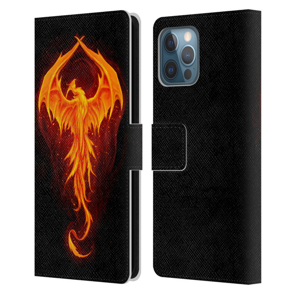 Christos Karapanos Dark Hours Dragon Phoenix Leather Book Wallet Case Cover For Apple iPhone 12 Pro Max