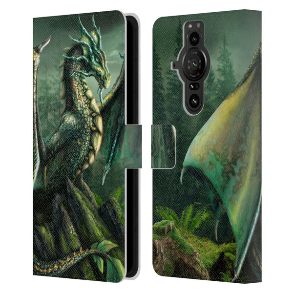 Sarah Richter Fantasy Creatures Green Nature Dragon Leather Book Wallet Case Cover For Sony Xperia Pro-I