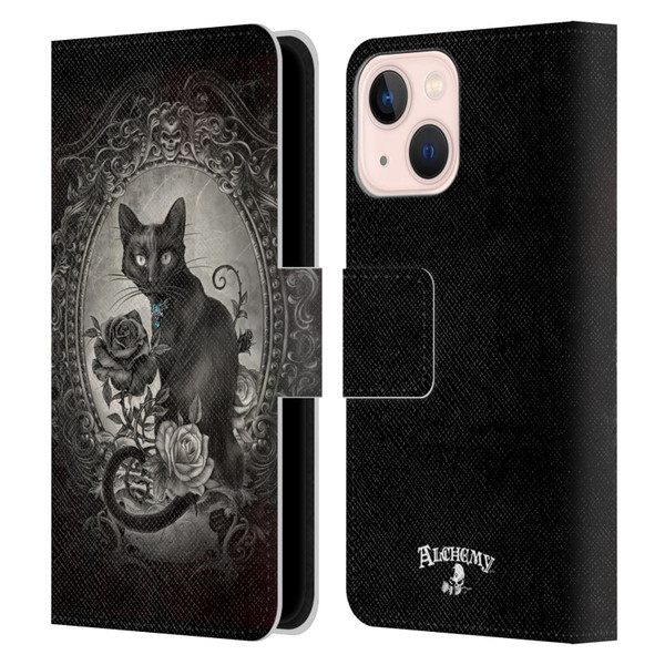 Alchemy Gothic Cats Paracelsus Leather Book Wallet Case Cover For Apple iPhone 13 Mini
