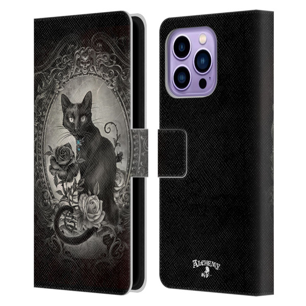Alchemy Gothic Cats Paracelsus Leather Book Wallet Case Cover For Apple iPhone 14 Pro Max