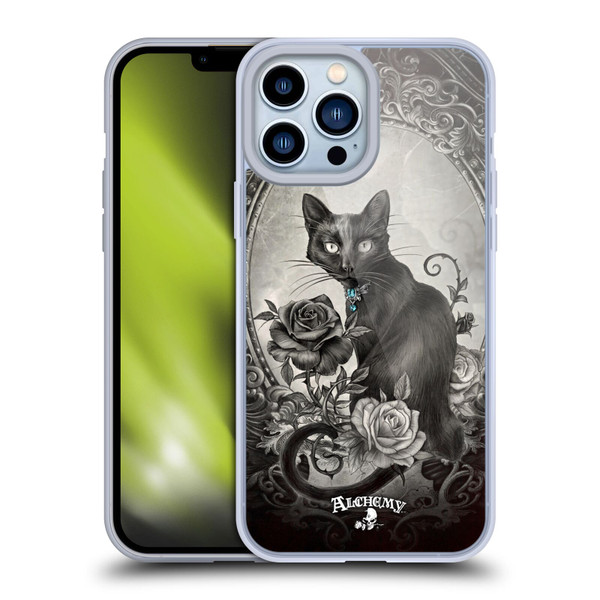 Alchemy Gothic Cats Paracelsus Soft Gel Case for Apple iPhone 13 Pro Max