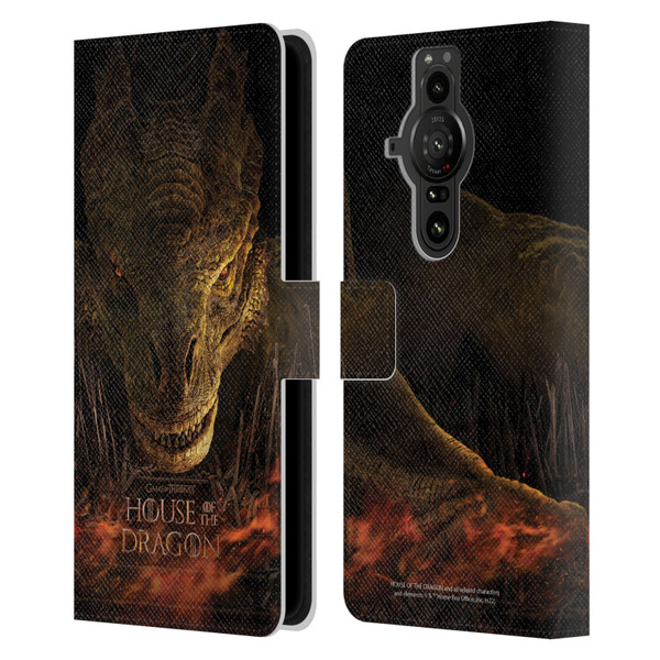 House Of The Dragon: Television Series Art Syrax Poster Leather Book Wallet Case Cover For Sony Xperia Pro-I