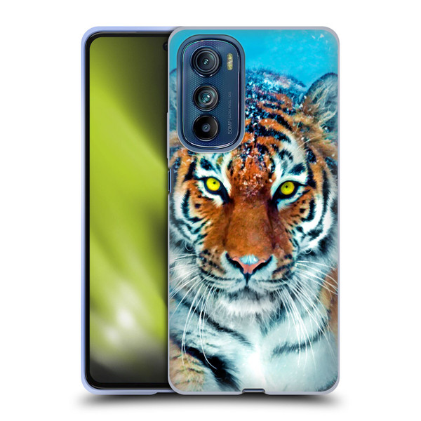 Aimee Stewart Animals Yellow Tiger Soft Gel Case for Motorola Edge 30