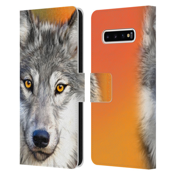 Aimee Stewart Animals Autumn Wolf Leather Book Wallet Case Cover For Samsung Galaxy S10+ / S10 Plus