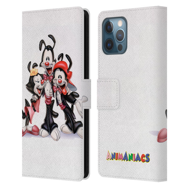 Animaniacs Graphics Formal Leather Book Wallet Case Cover For Apple iPhone 12 Pro Max