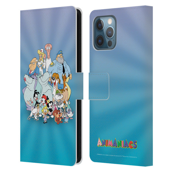 Animaniacs Graphics Group Leather Book Wallet Case Cover For Apple iPhone 12 Pro Max