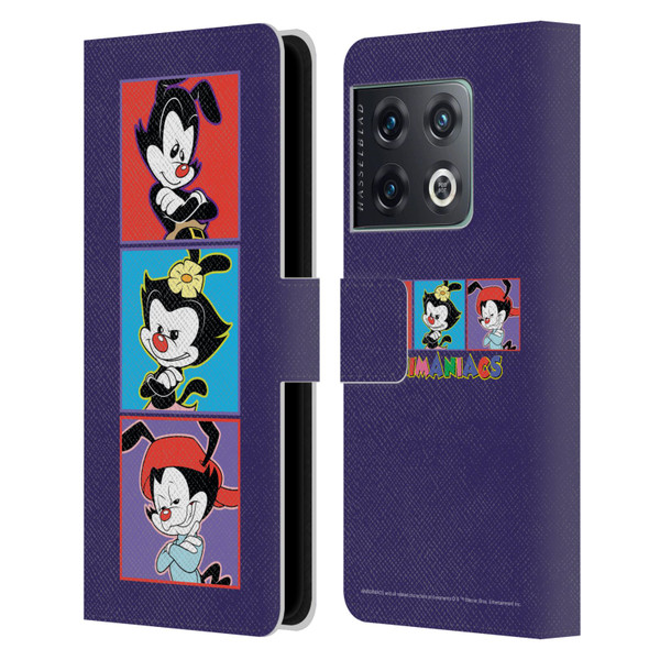 Animaniacs Graphics Tiles Leather Book Wallet Case Cover For OnePlus 10 Pro