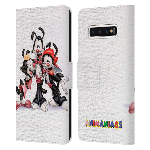 Animaniacs Graphics Formal Leather Book Wallet Case Cover For Samsung Galaxy S10