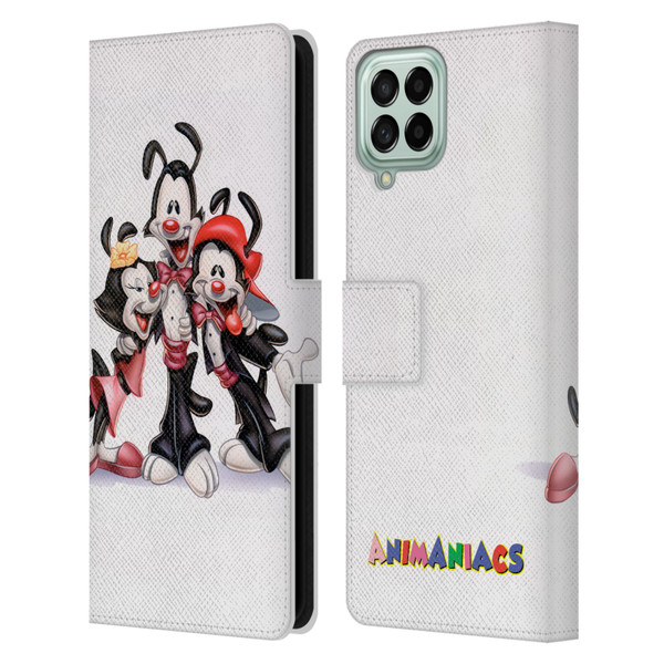 Animaniacs Graphics Formal Leather Book Wallet Case Cover For Samsung Galaxy M33 (2022)