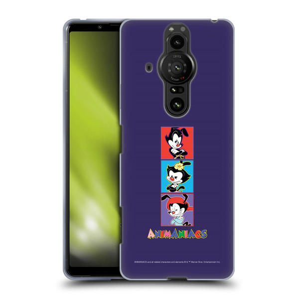 Animaniacs Graphics Tiles Soft Gel Case for Sony Xperia Pro-I