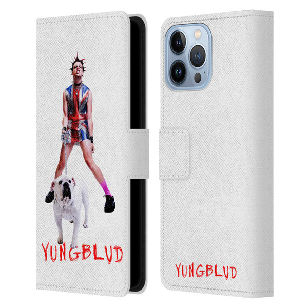 Yungblud Graphics Strawberry Lipstick Leather Book Wallet Case Cover For Apple iPhone 13 Pro Max