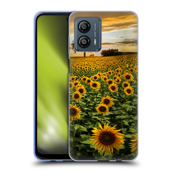 Celebrate Life Gallery Florals Big Sunflower Field Soft Gel Case for Motorola Moto G53 5G
