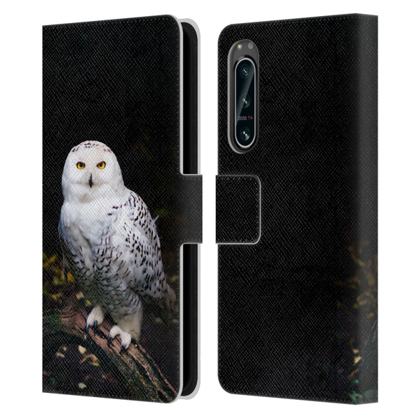 Patrik Lovrin Animal Portraits Majestic Winter Snowy Owl Leather Book Wallet Case Cover For Sony Xperia 5 IV