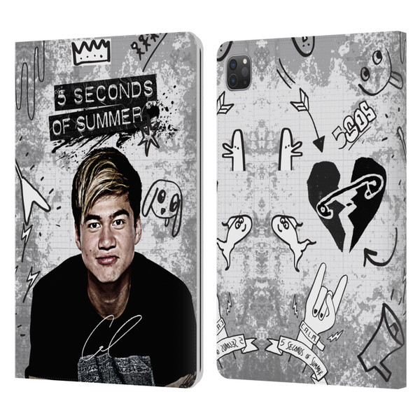 5 Seconds of Summer Solos Vandal Calum Leather Book Wallet Case Cover For Apple iPad Pro 11 2020 / 2021 / 2022