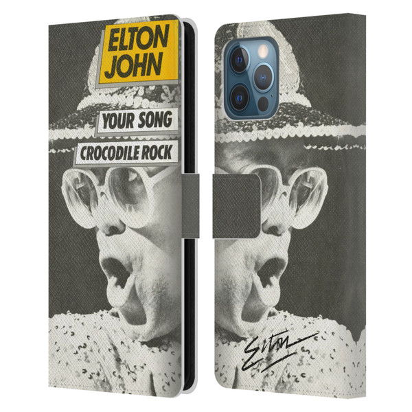 Elton John Artwork Your Song Single Leather Book Wallet Case Cover For Apple iPhone 12 Pro Max