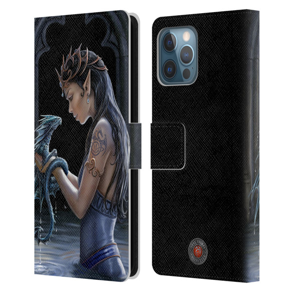 Anne Stokes Dragon Friendship Water Leather Book Wallet Case Cover For Apple iPhone 12 Pro Max