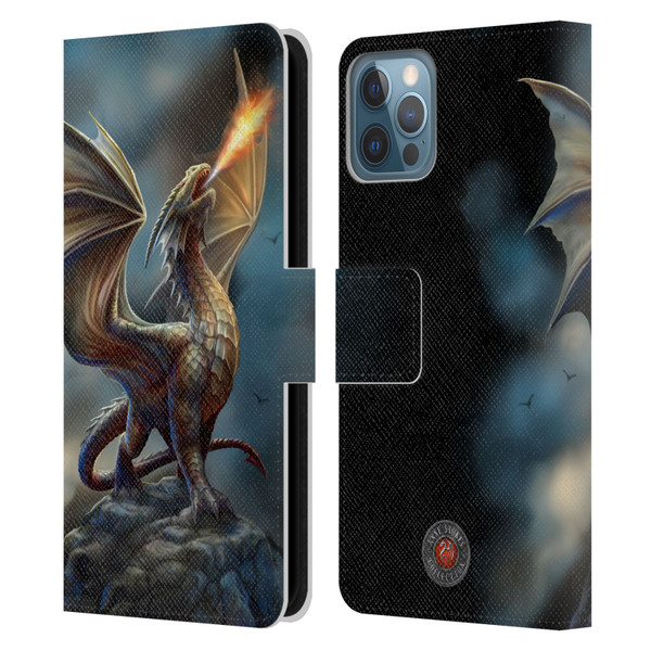 Anne Stokes Dragons Noble Leather Book Wallet Case Cover For Apple iPhone 12 / iPhone 12 Pro