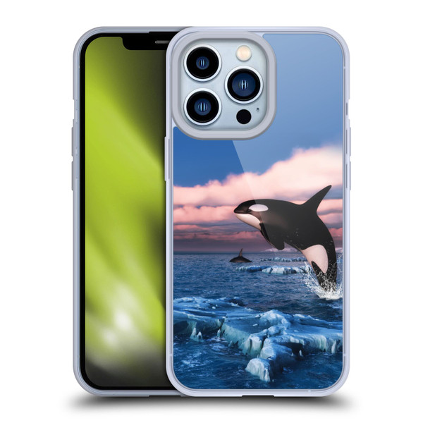 Simone Gatterwe Life In Sea Killer Whales Soft Gel Case for Apple iPhone 13 Pro
