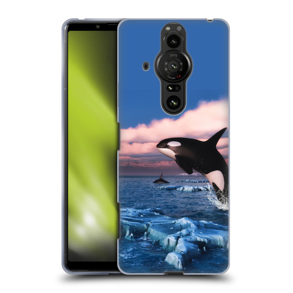 Simone Gatterwe Life In Sea Killer Whales Soft Gel Case for Sony Xperia Pro-I