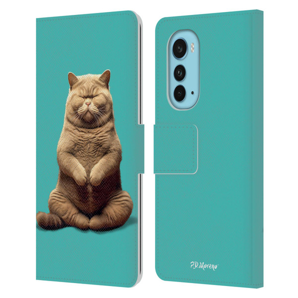 P.D. Moreno Furry Fun Artwork Sitting Cat Leather Book Wallet Case Cover For Motorola Edge (2022)