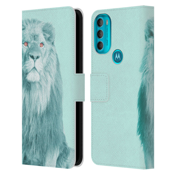 Mark Ashkenazi Pastel Potraits Lion Leather Book Wallet Case Cover For Motorola Moto G71 5G