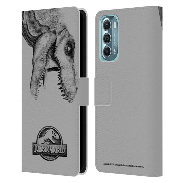 Jurassic World Fallen Kingdom Logo T-Rex Leather Book Wallet Case Cover For Motorola Moto G Stylus 5G (2022)
