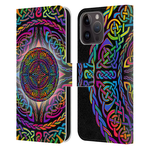 Beth Wilson Rainbow Celtic Knots Shield Leather Book Wallet Case Cover For Apple iPhone 15 Pro Max