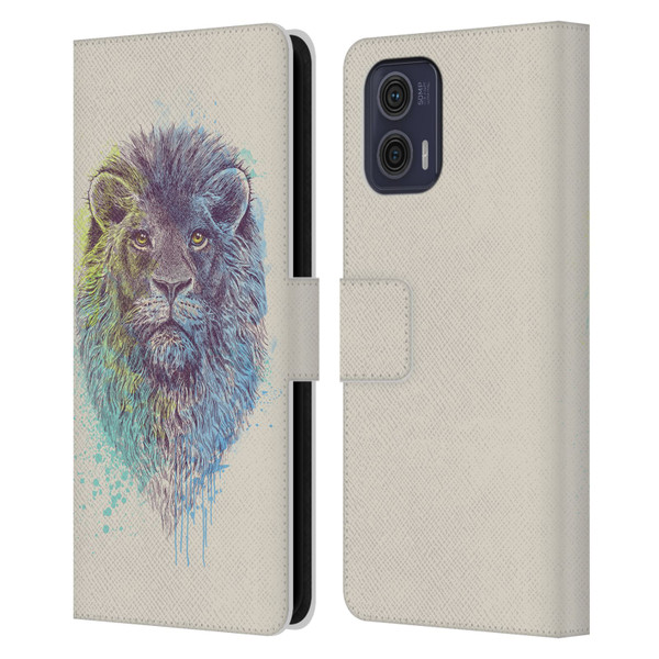 Rachel Caldwell Animals 3 Lion Leather Book Wallet Case Cover For Motorola Moto G73 5G