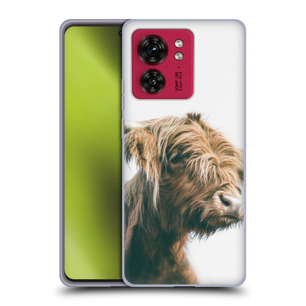 Patrik Lovrin Animal Portraits Majestic Highland Cow Soft Gel Case for Motorola Moto Edge 40