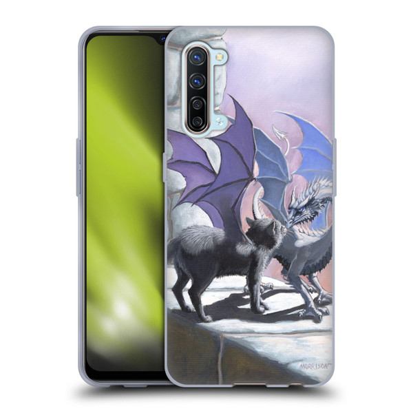 Stanley Morrison Dragons 2 Black Winged Cat Soft Gel Case for OPPO Find X2 Lite 5G