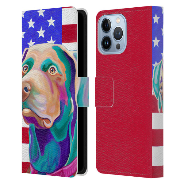 Jody Wright Dog And Cat Collection US Flag Leather Book Wallet Case Cover For Apple iPhone 13 Pro Max