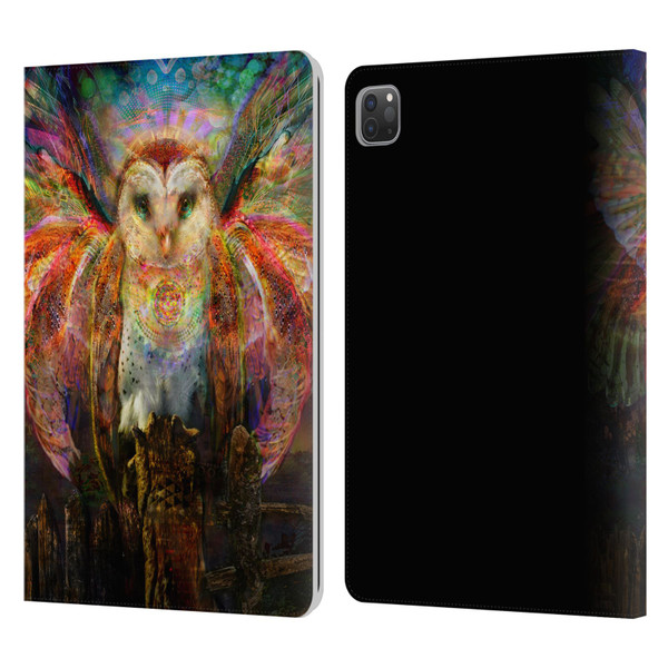 Jumbie Art Visionary Owl Leather Book Wallet Case Cover For Apple iPad Pro 11 2020 / 2021 / 2022