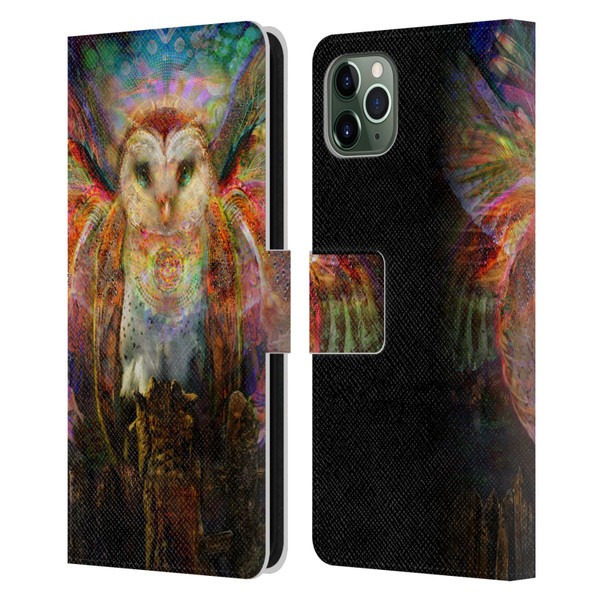 Jumbie Art Visionary Owl Leather Book Wallet Case Cover For Apple iPhone 11 Pro Max