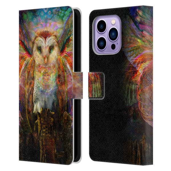 Jumbie Art Visionary Owl Leather Book Wallet Case Cover For Apple iPhone 14 Pro Max