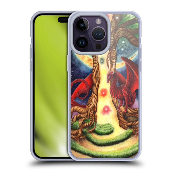 Carla Morrow Dragons Gateway Of Awakening Soft Gel Case for Apple iPhone 14 Pro Max
