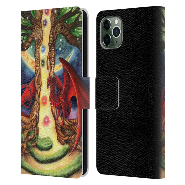 Carla Morrow Dragons Gateway Of Awakening Leather Book Wallet Case Cover For Apple iPhone 11 Pro Max