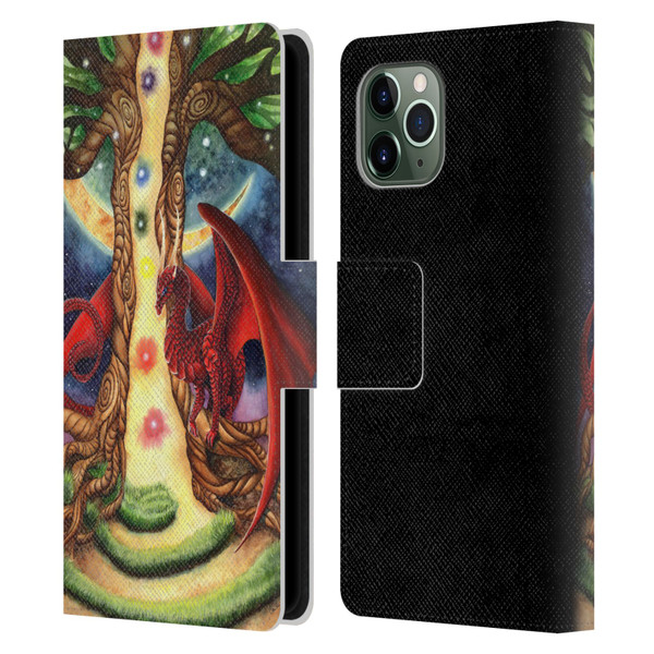 Carla Morrow Dragons Gateway Of Awakening Leather Book Wallet Case Cover For Apple iPhone 11 Pro