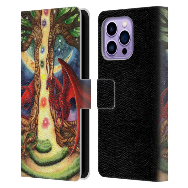 Carla Morrow Dragons Gateway Of Awakening Leather Book Wallet Case Cover For Apple iPhone 14 Pro Max