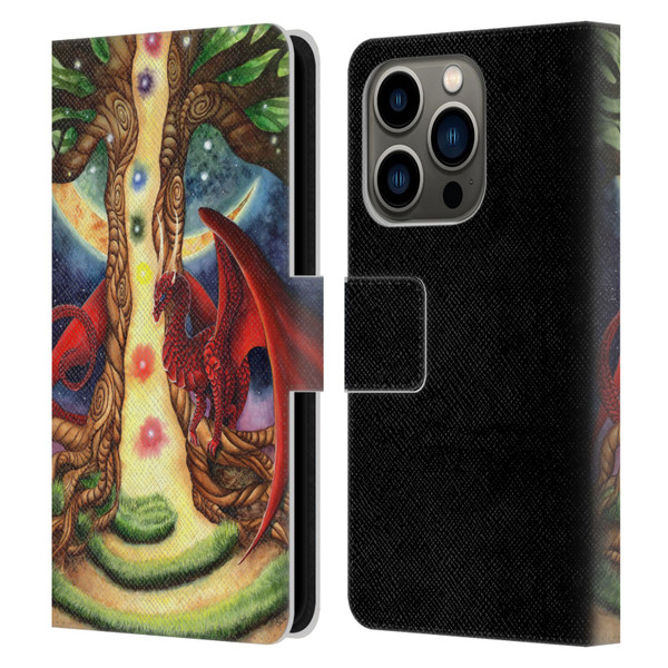 Carla Morrow Dragons Gateway Of Awakening Leather Book Wallet Case Cover For Apple iPhone 14 Pro