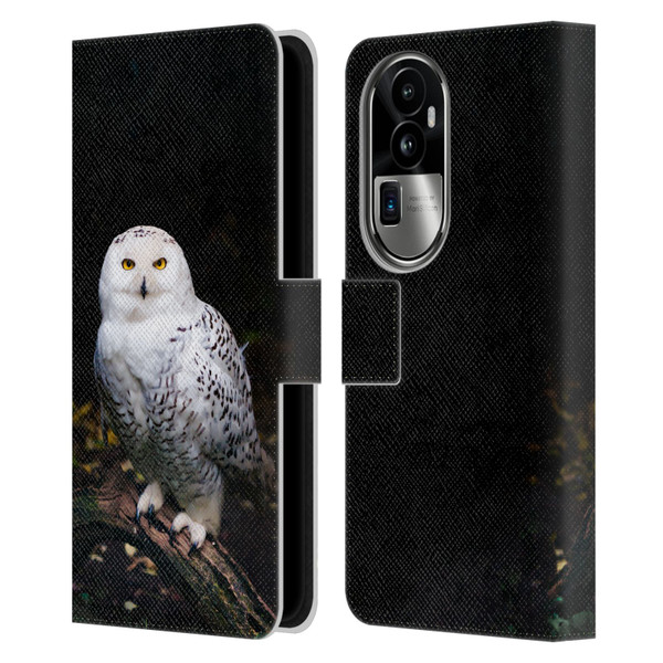 Patrik Lovrin Animal Portraits Majestic Winter Snowy Owl Leather Book Wallet Case Cover For OPPO Reno10 Pro+