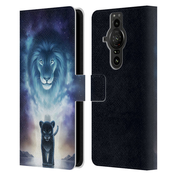 Jonas "JoJoesArt" Jödicke Fantasy Art A King's Path Leather Book Wallet Case Cover For Sony Xperia Pro-I