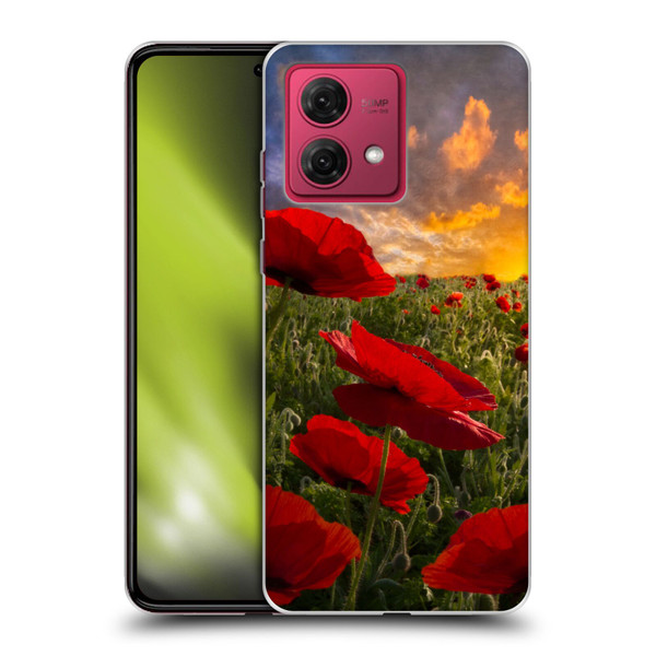 Celebrate Life Gallery Florals Red Flower Field Soft Gel Case for Motorola Moto G84 5G