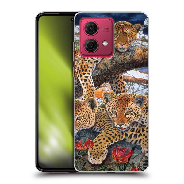 Graeme Stevenson Wildlife Leopard Soft Gel Case for Motorola Moto G84 5G